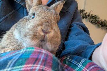 Realizing I spend alot of time and money just for close up views of this this guy's tiny mouth