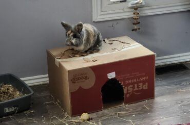 Installing a Sunroof