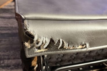 Bunnies loose in the house - Follow up