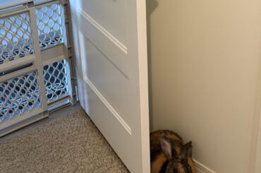 Our new door stopper works great!