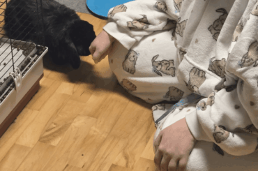 My in-laws got me these pajamas that my niece picked out! I'm not so sure Midna is very amused by them.