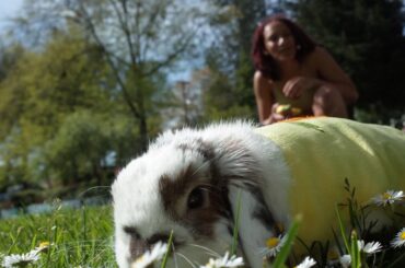 Need water bowl suggestions to prevent wet chin