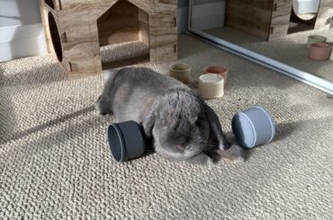 After a long day of hard work