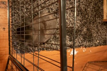 Do I remove a piece of the gate?