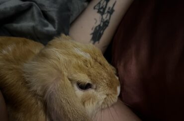 Saved this sweet dumped angel yesterday