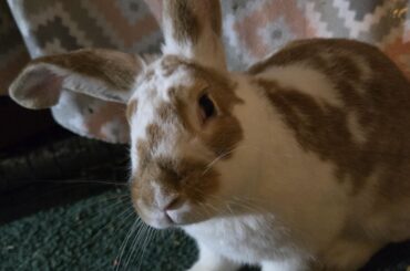 You're cutting off my WHAT on Friday?!