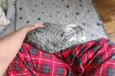 How am I supposed to make my chili????🤣