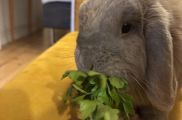 My little friend ❤️