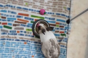 SHE'S GETTING BETTER!!