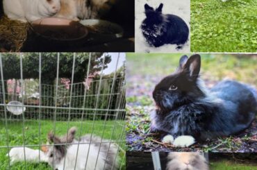 In remembering on my 7 buns🥺🕊️🌈