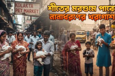Big Rabbit Market in Kolkata | Cute Rabbits Updates