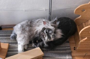 Is this even comfortable ?