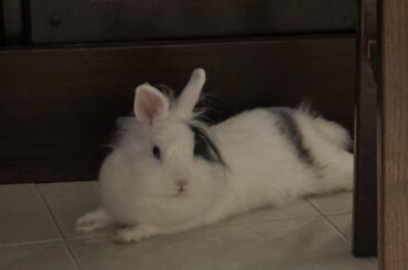 He’s just chilling