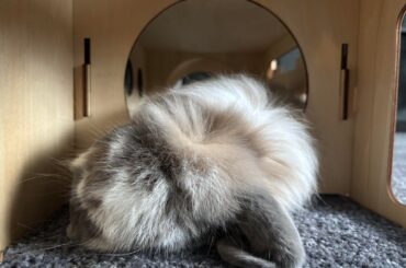 There so much room in there!