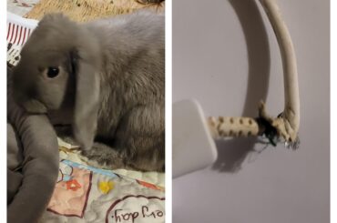 Simon's first charger!