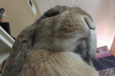 Charlotte mouf pics
