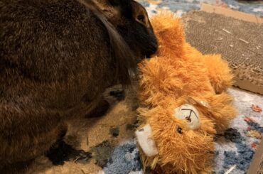 Crusher is My little weirdo ♥️