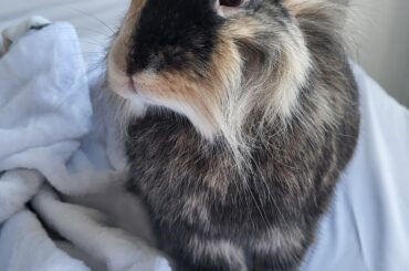 The sweetest little boy