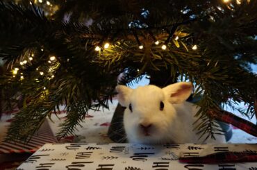 Some of y'all were right