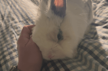 Someone was in a cuddly mood today 🤗