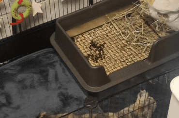 Gave me a fcking heart attack