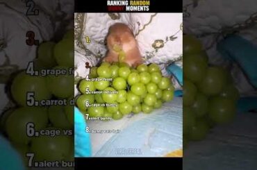 Ranking random Bunny moments