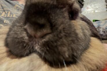 Notorious B.U.N in the house