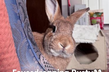 Which Rusty are you today?? Pt 2