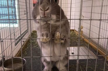 what have you brought me