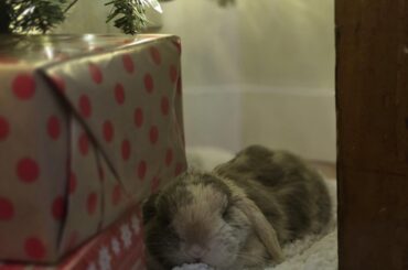 He knows he's a gift to me