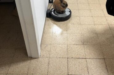 I caught Micholas on his throne