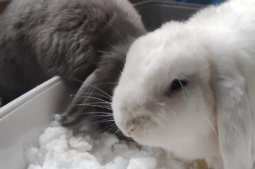 First time playing with snow, got some questions