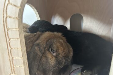 what am i doing wrong