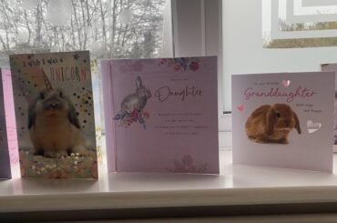 When you’re a rabbit mum and it’s your birthday