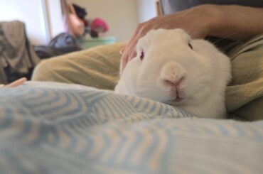 Somebun got their nails trimmed 🥰