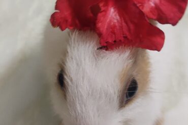 Flower with a flower