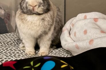 my baby is unwell :c