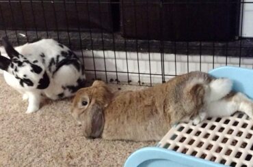 so, squiggles, my man, what do we call this move?