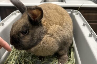 Stewart has had enough of my 💩