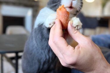 Someone was very happy about treat time