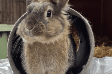 Lucky shes so damn cute.