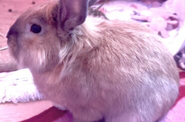 New family member!<3