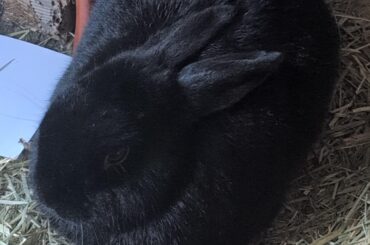 Martha is a perfectly compact life