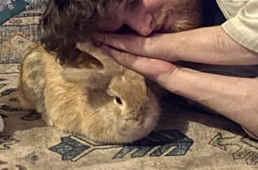 When I say I’m chilling with my bunny this is what I mean