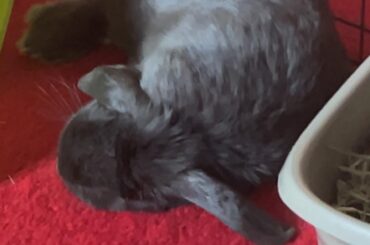 This boy just melts my heart when I need it the most