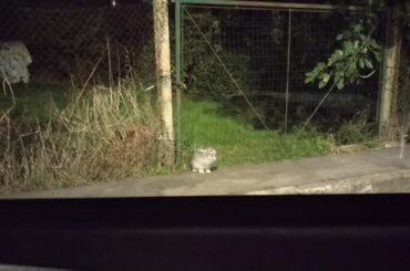 I have been blessed by the bunny distribution system