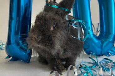 Birthdayboy Jimmy Jam is 10🥳