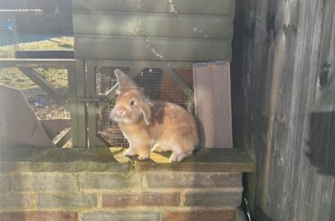 You all will understand