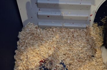 Should I be alarmed?