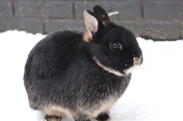 The snow on her nose 🥹🥹